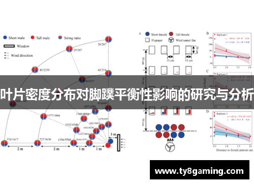 叶片密度分布对脚蹼平衡性影响的研究与分析